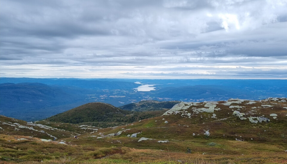 PRESSOMRÅDE: Lifjell-området opplever sterkt press på naturen, meiner innsendaren.