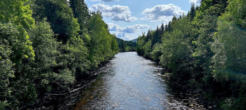 Test deg sjølv: Kva veit du om vatnet me omgjev oss med i Midt-Telemark?