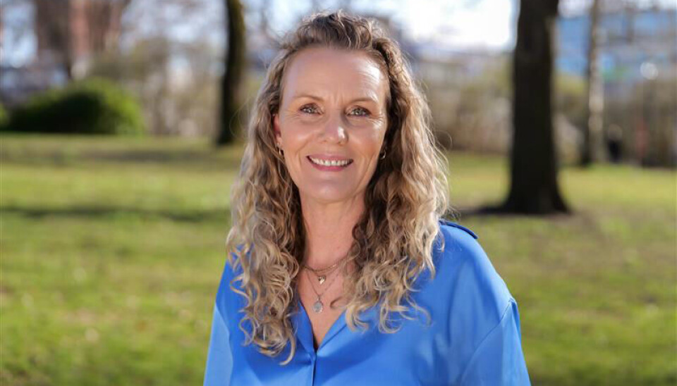 MEINING: Gro Anita Mykjåland, stortingsrepresentant (Sp).