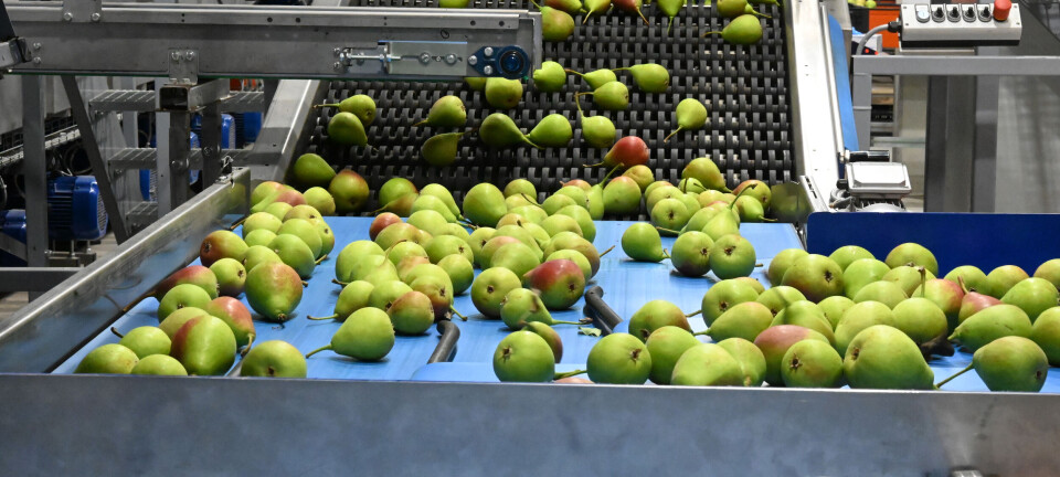 Test deg sjølv: Veit du dette om frukt?