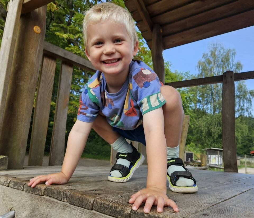 Sondre 4 år