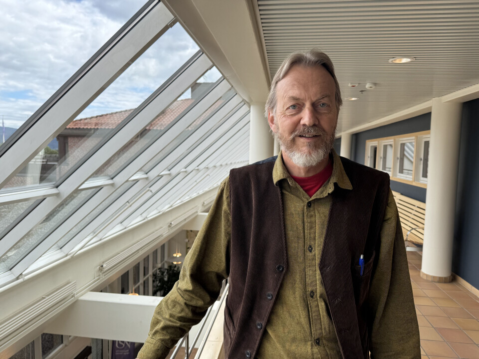 MEINING: Peter Fjågesund