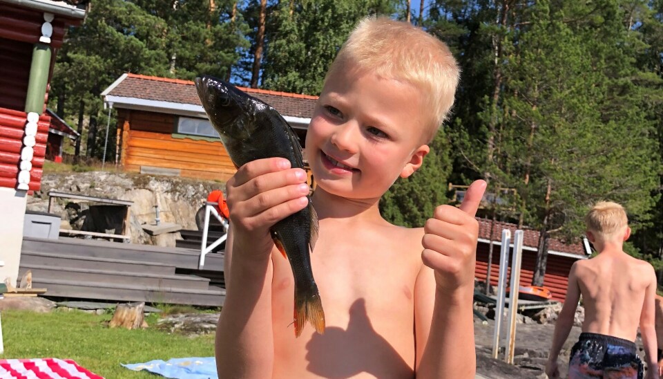 Christian 8 år