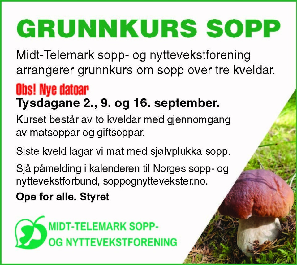 Grunnkurs om sopp