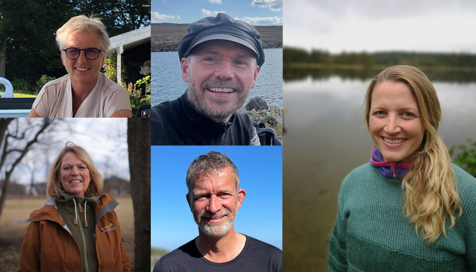 MEINING: Øvst f.v. Annette Bischoff, Per Ingvar Haukeland, Lise Katrine Jepsen Trangsrud. Nede t.v. Bente Lier og Paul Waaler.