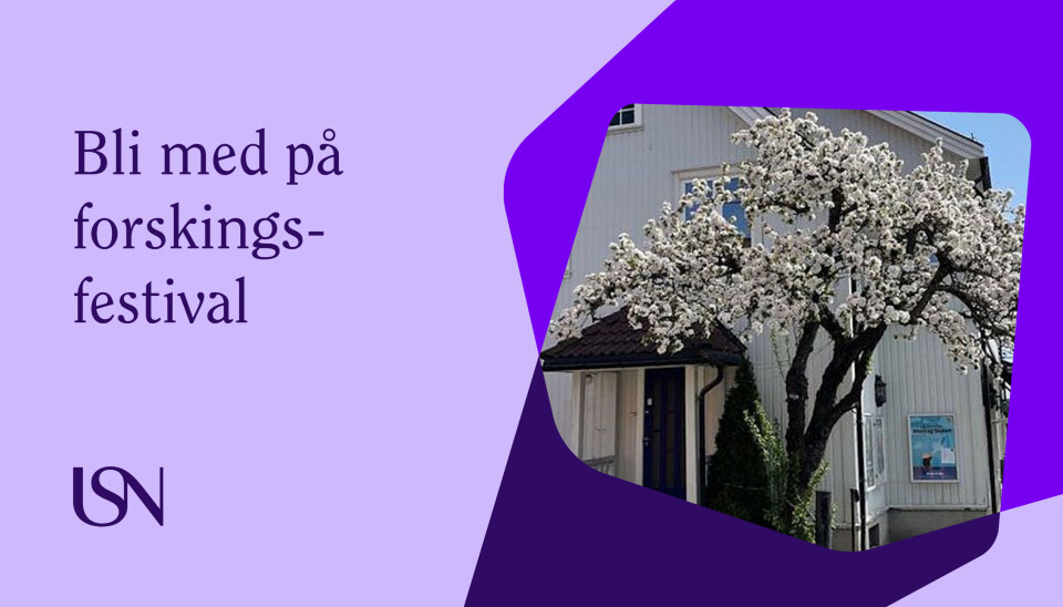 Forskningsfestival i Bø