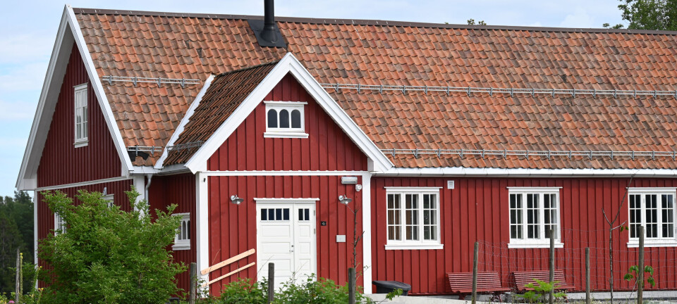 Dei er gode både med ord og tonar: Nå opnar dei showet