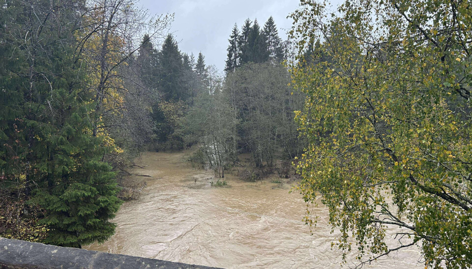 MANNEBRU: Elva går høg ved Mannebru i Midt-Telemark.