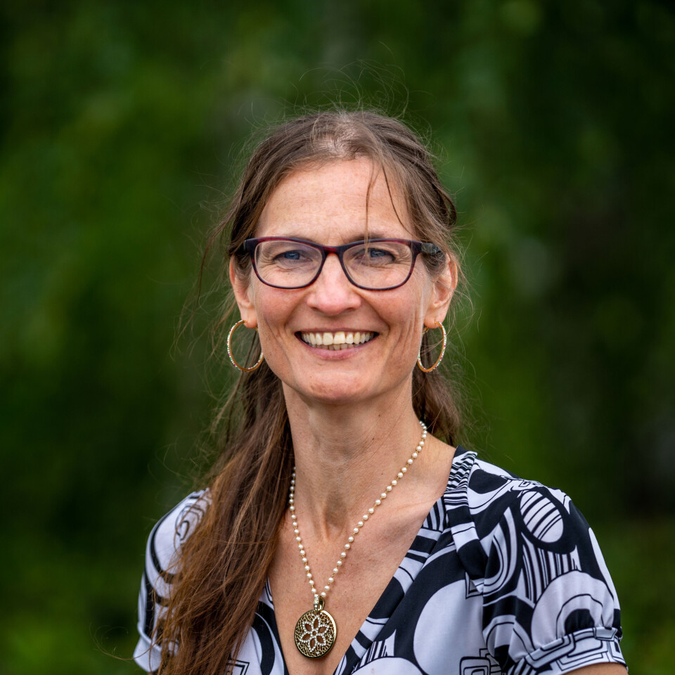 KRONIKKFORFATTAR: Førsteamanuensis Eva Maria Støa.