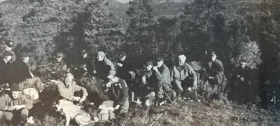 Elgjakt frå soloppgang