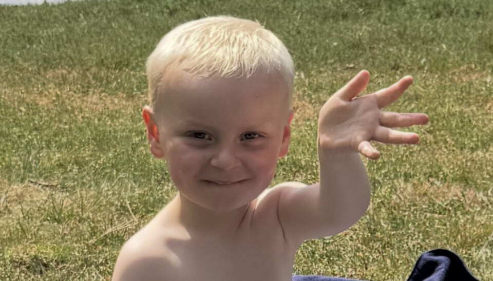 Kittil 4 år