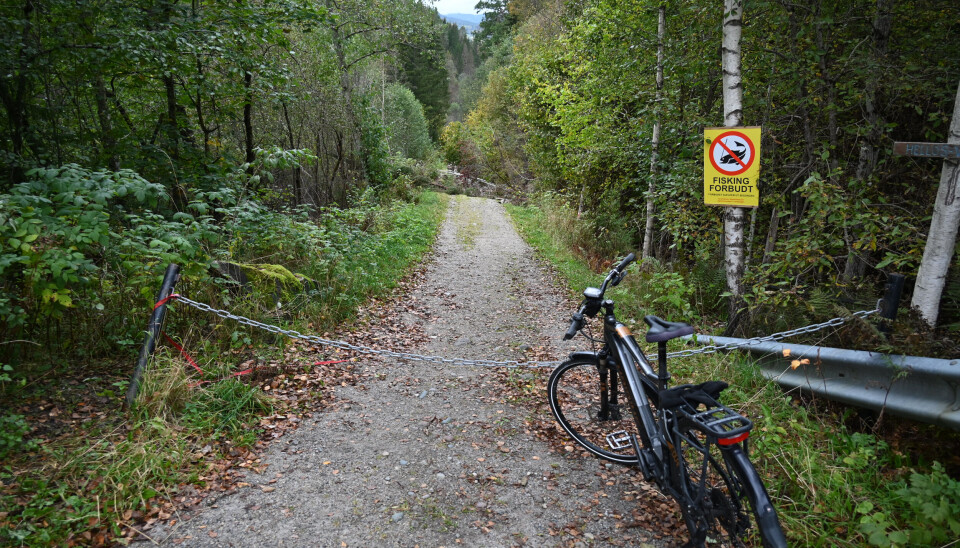 VIL SATSE: Visit Bø vil satse på stisykling i Midt-Telemark for å dra turistar.