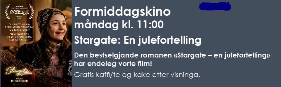 Formiddagskino