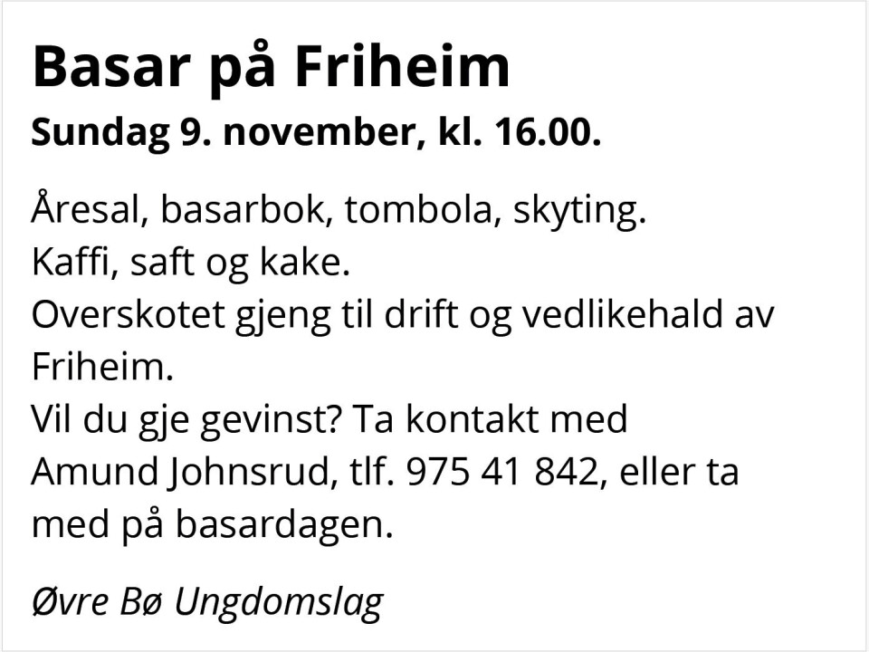 Basar på Friheim