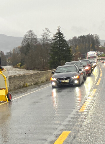 Lange køar mellom Bø og Gvarv