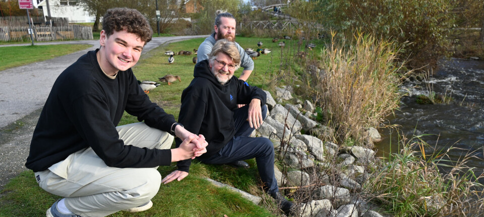 Lokallag med suksess utvidar: –  Foreløpig er me det einaste