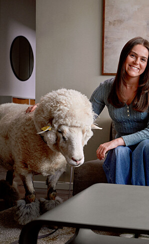 Har du fått med deg denne?