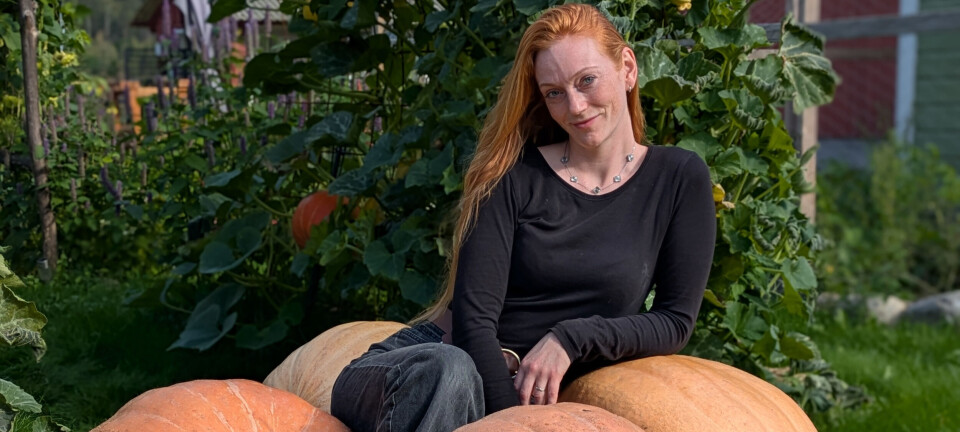 Kjersti sin kjærleik til graskaret kom med barna